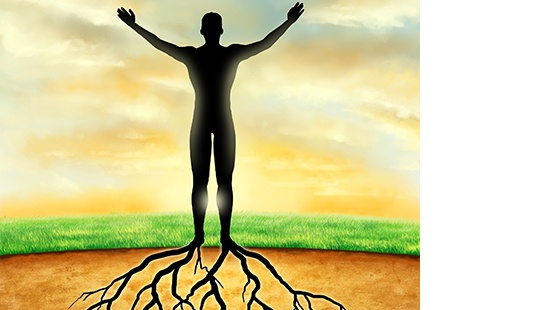 STELIAXE-EQUILIBRE-SANTE-GLOBALE